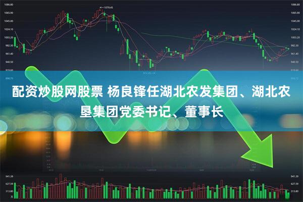 配资炒股网股票 杨良锋任湖北农发集团、湖北农垦集团党委书记、董事长